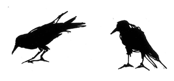 two crows