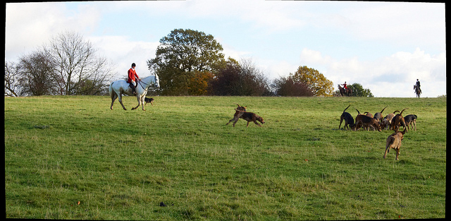 the hunt at sandon