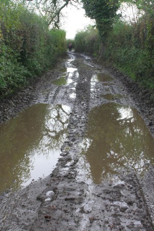 muddy tracks