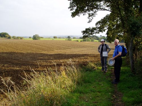 bedfordhire fields