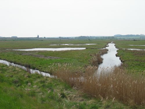 view near Burnham Overy Staithe