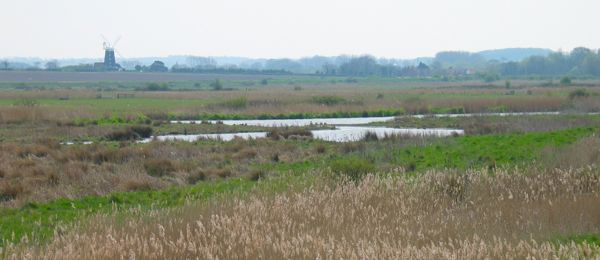 Burnham Overy Staithe