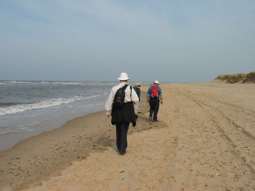 Holkham beach