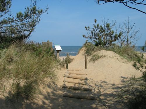 sand dunes at Holme