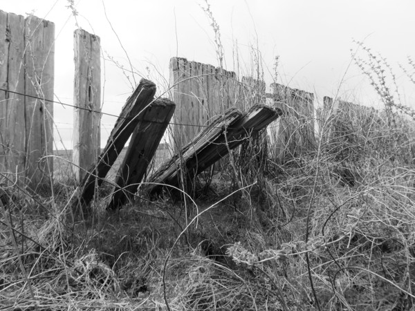 Sleepers from Deeside railway