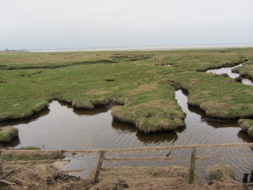 solent shore