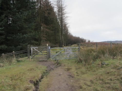 Gate at Stoneymollan